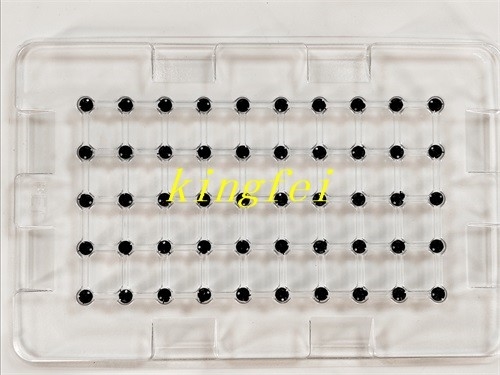 FUJI 2AGKNX006300 NXT 24 cabeças 0,8 bocal de sucção em estoque entrega rápida